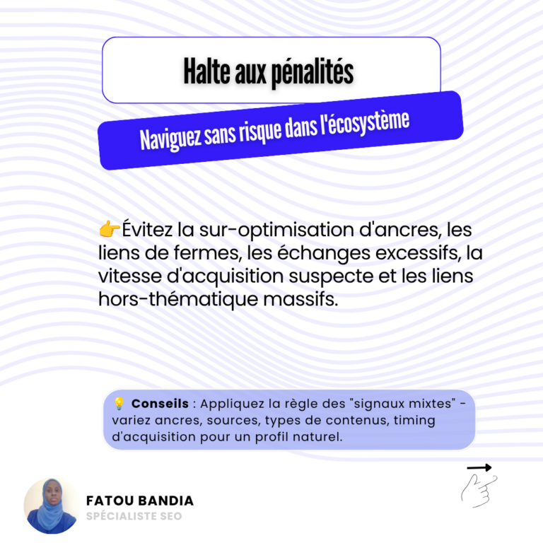 penalités black hat netlinking fatou bandia