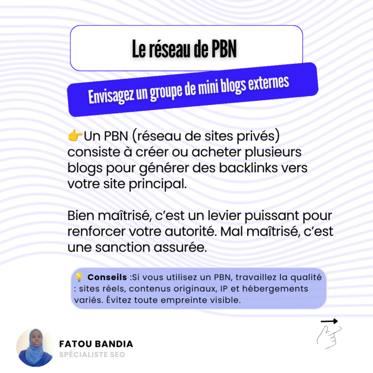 réseau pbn linkbuilding fatou bandia expert sénégal afrique