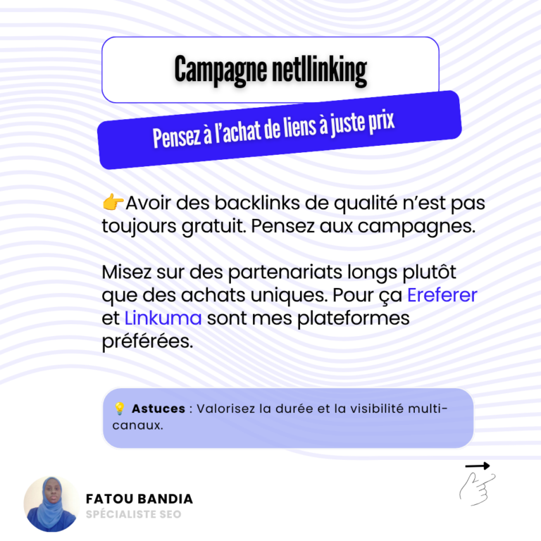 campagne netlinking fatou bandia experte afrique