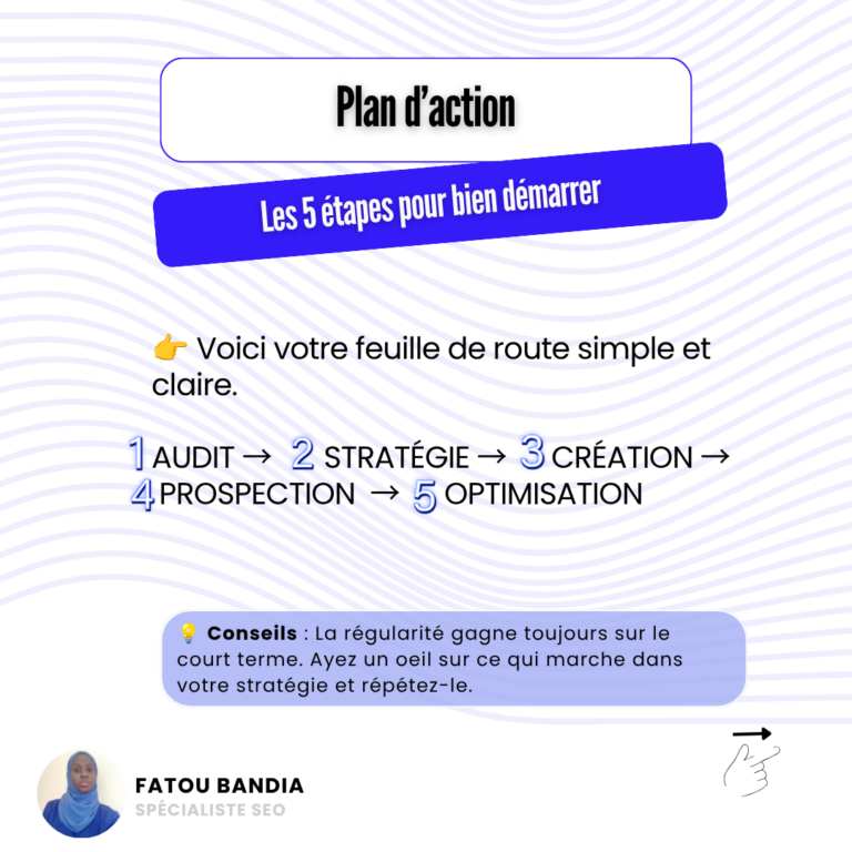 plan d'action netlinking fatou bandia expert afrique